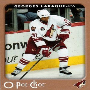 Georges Laraque - 2006/2007 O Pee Chee Hockey Card